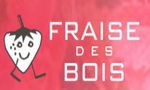 Fraise Des Bois