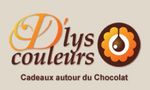 D'lys couleurs