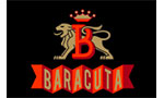 Baracuta